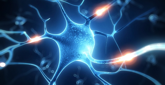 Brain Coaching